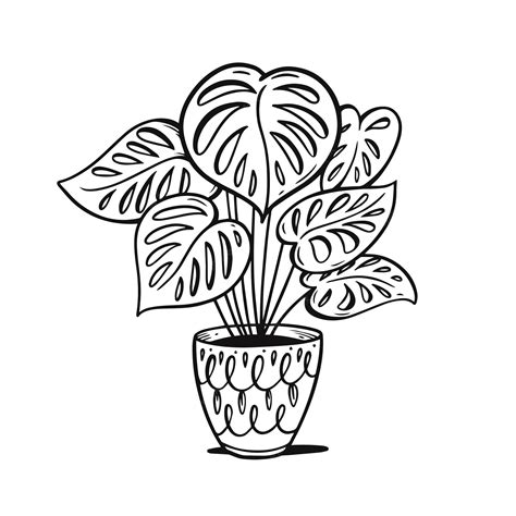 house plants drawing|Plant Drawing Black And White at PaintingValley.com.